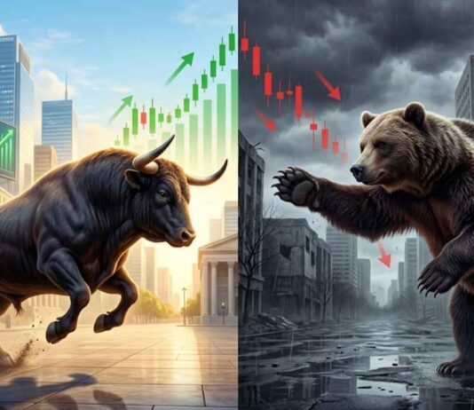 bull vs bear market