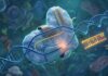 how crispr works